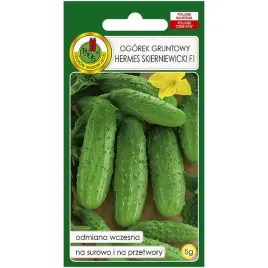ogorek-hermes-f1-nasiona-5g-pnos