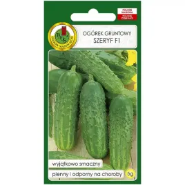 ogorek-szeryf-f1-nasiona-5g-pnos