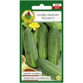 ogorek-polan-f1-nasiona-5g-pnos