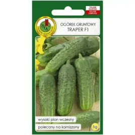 ogorek-traper-f1-nasiona-5g-pnos