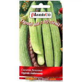 ogorek-melonowy-fegouz-nasiona-3g-plantico