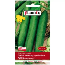 ogorek-atos-f1-nasiona-1g-plantico