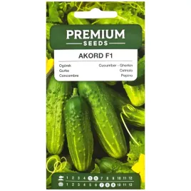 ogorek-akord-f1-25-nasion-premium-seeds