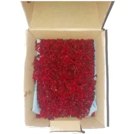 zywa-ochotka-wedkarska-haczykowa-100g-robak