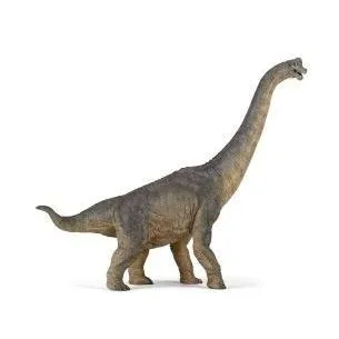 brachiozaur