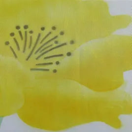 firana-thinkbay-kwiaty-zolta-145x150-cm-poliester-dekoracyjna