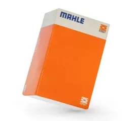 tlok-mahle-257-pi-00100-000