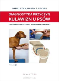 diagnostyka-przyczyn-kulawizn-u-psow-w-2