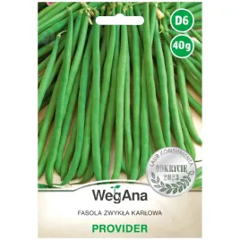 fasola-szparagowa-provider-nasiona-40g-wegana