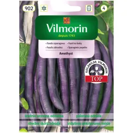 fasola-szparagowa-amethyst-30g-vilmorin
