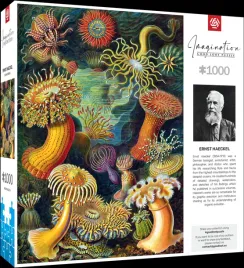 puzzle-ernst-haeckel-stworzenia-morskie-1000