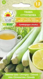 trawa-cytrynowa-2w1-przyprawa-i-ozdoba-do-ogrodu