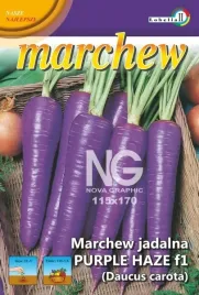 marchew-fioletowa-purple-haze-f1-purkurowa-srednio-wczesna-plenna