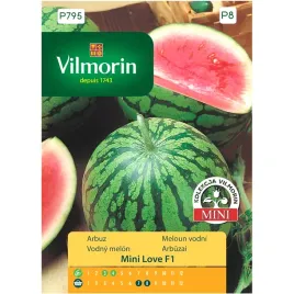 arbuz-mini-love-f1-7-nasion-vilmorin