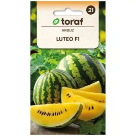arbuz-luteo-f1-7-nasion-toraf