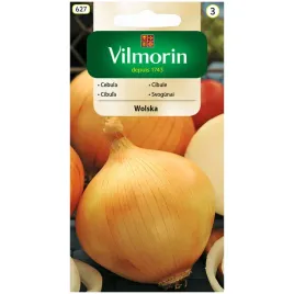 cebula-wolska-nasiona-5g-vilmorin