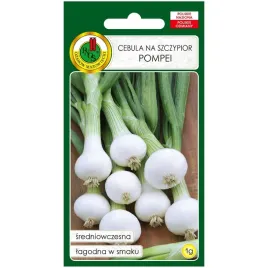 cebula-pompei-nasiona-1g-pnos