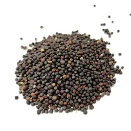 rzepak-ziarno-1kg