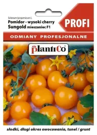 pomidor-koktajlowy-pomaranczowy-sungold-f1-profi-8-nasion-plantico
