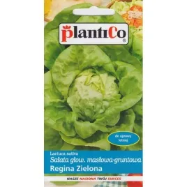 salata-maslowa-zimujaca-zina-na-mrozne-wietrzne-ziny-krucha-plantico