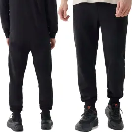 spodnie-dresowe-meskie-4f-joggery-sportowe-dresy-bawelniane-m0943-20s-l