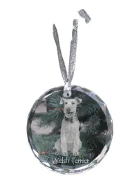 terier-walijski-welsh-terrier-krysztalowa-bombka-ze-zdjeciem-zdjecia-ps