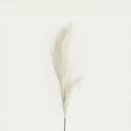 galazka-sztuczna-canne-kremowa-duza-150-cm-homla