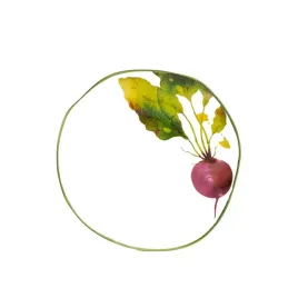 talerz-porcelanowy-skord-deserowy-z-burakiem-20-cm-homla