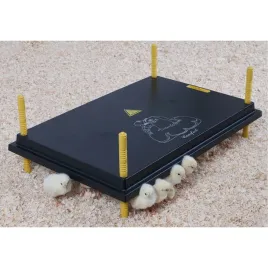 plyta-do-ogrzewania-pisklat-60-x-40-cm