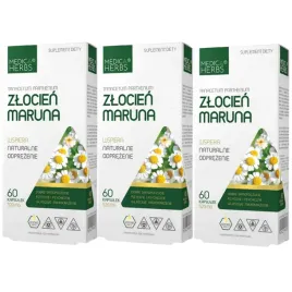 3x-medica-herbs-zlocien-maruna-feverfew-ekstrakt-60k-migrena-uklad-nerwowy