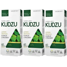 3x-medica-herbs-kudzu-ekstrakt-600mg-60-kapsulek-nalog-uzaleznienia