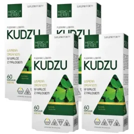 4x-medica-herbs-kudzu-ekstrakt-600mg-60-kapsulek-nalog-uzaleznienia