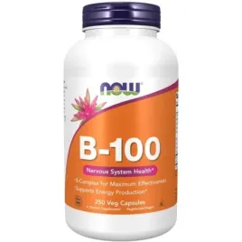 now-foods-b-100-kompleks-witamin-b-250-wegetarianskich-kaps-uklad-nerwowy