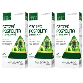 3x-medica-herbs-szczec-pospolita-ekstrakt-500mg-bakterie-reumatyzm-kosci
