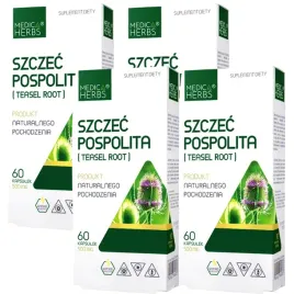 4x-medica-herbs-szczec-pospolita-ekstrakt-500mg-reumatyzm-bole-stawowe