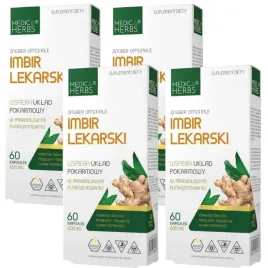 4x-medica-herbs-imbir-lekarski-ekstrakt-trawienie-stawy-regeneracja
