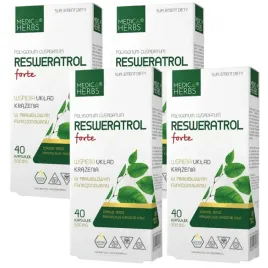 4x-medica-herbs-resweratrol-ekstrakt-50-1-rdestowiec-antyoksydacja-krazenie