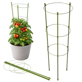 podpora-pierscieniowa-do-roslin-divodv-regulowana-60-cm-3-obrecze-zielona