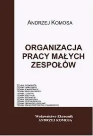 organizacja-pracy-malych-zespolow-ekonomik