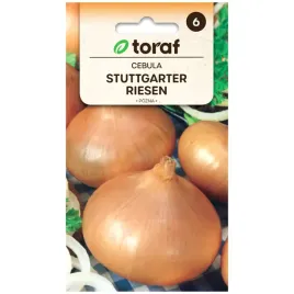 cebula-stuttgarter-riesen-nasiona-3g-toraf