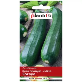 cukinia-soraya-nasiona-3g-plantico