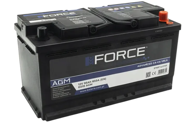 AKUMULATOR 12V ECOFORCE AGM 95AH 850A P+ , RADOM