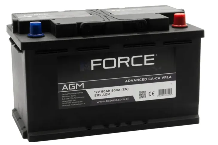AKUMULATOR 12V ECOFORCE AGM 80AH 800A P+ , RADOM