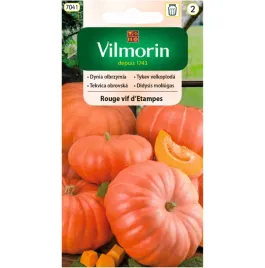 dynia-rouge-vif-d-etampes-nasiona-3g-vilmorin