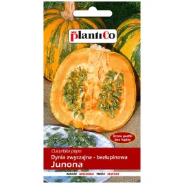 dynia-junona-nasiona-3g-plantico