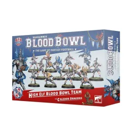 blood-bowl-high-elf-team-the-caledor-dragons