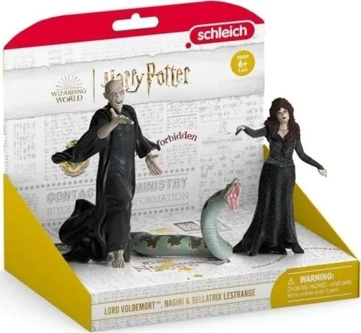 voldemort-and-bellatrix-wizarding-world
