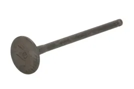zawor-wydechowy-r6953-rnt-freccia