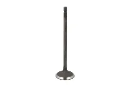 zawor-ssacy-r6769-snt-freccia
