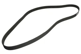 pasek-wieloklinowy-320-08765-cva